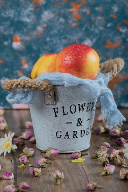 Free Photo yellow red peaches on blue metallic bucket.