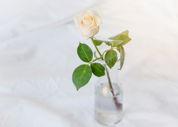 Free Photo yellow rose standing in glass vase on table