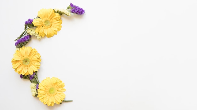 Yellow and violet flowers on white