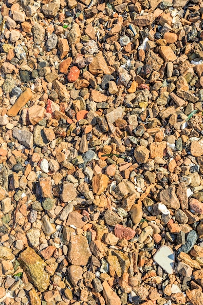 yellow wave stone background the sea seaweed