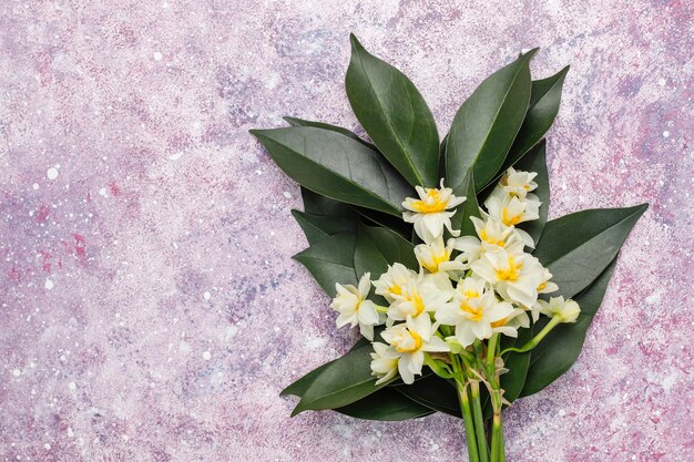 Yellow white daffodil, narcissus, jonquil flower on bright background.March 8 women's day.