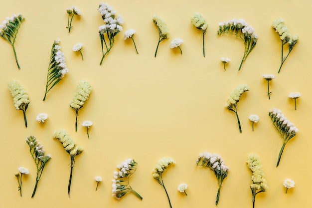 Yellow and white small flowers