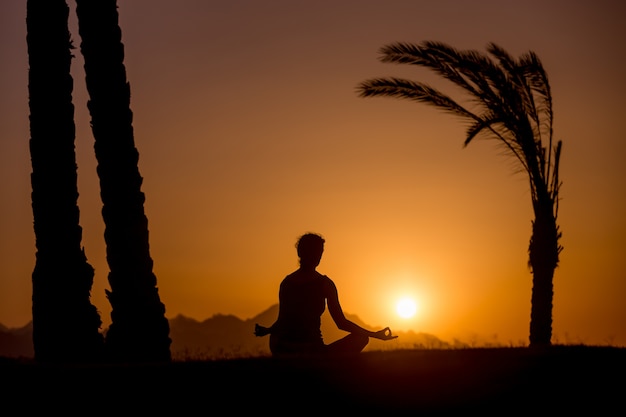 Free photo yoga practice in tropical location