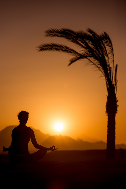 Free photo yoga training in tropical location