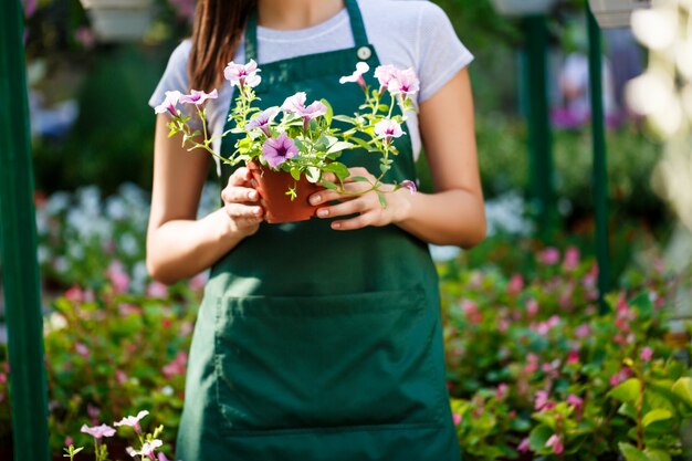 Young beautiful florist posing among flowers.