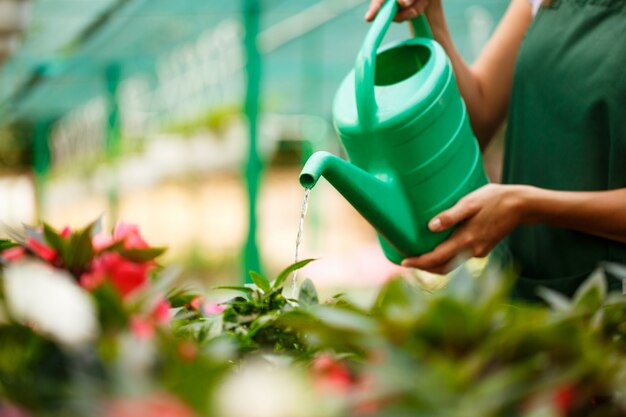 Young beautiful florist watering flowers.