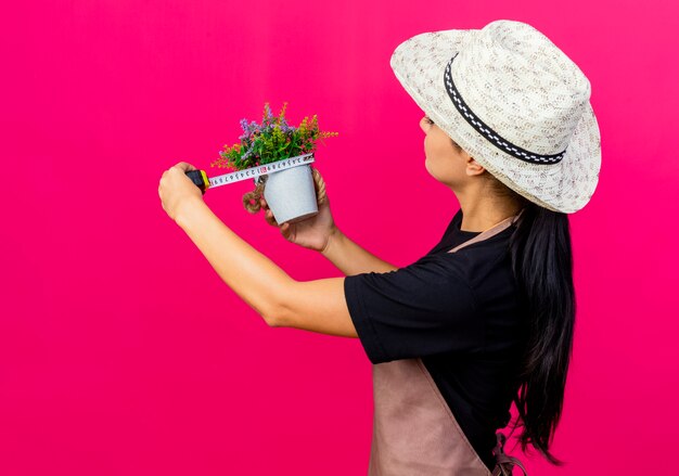 Young beautiful woman gardener in apron and hat holding potted plant and measure tape measuring with serious face standing over pink wall