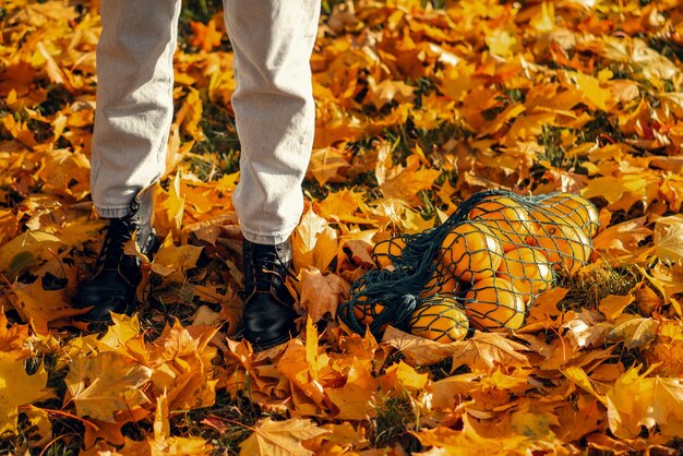 Young beautiful woman in a hat in an autumn park, a string bag with oranges, a woman throws up autumn leaves. Autumn mood, bright colors of nature.