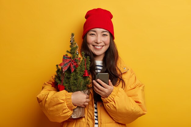 Young beautiful woman holding Christmas decorations