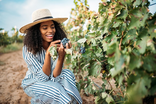 Free photo young black woman eating a grape in a vineyard