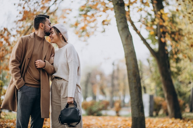 Free photo young couple together in an autumn park