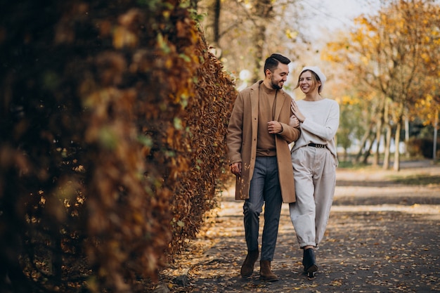 Free photo young couple together in an autumn park