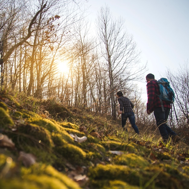 Young couple walking in the forest