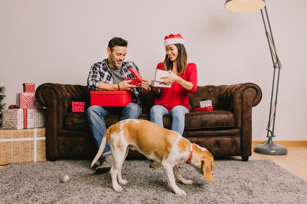 Free photo young couple with dog at christmas