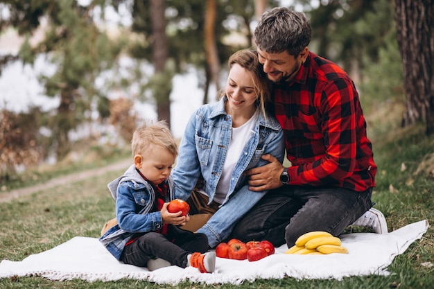 Young family in park having piscnic