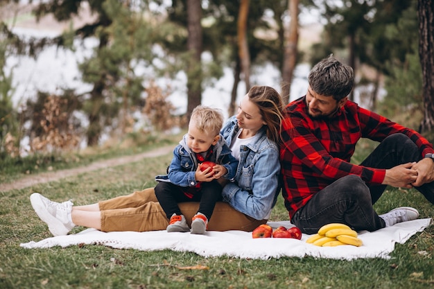 Young family in park having piscnic