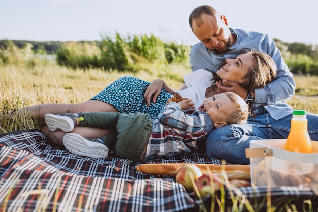 Young family with little son having picnic in park