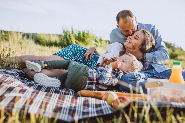 Young family with little son having picnic in park