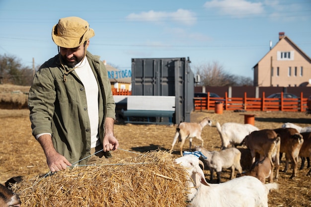 Young farmer feeding his goats hay at the farm