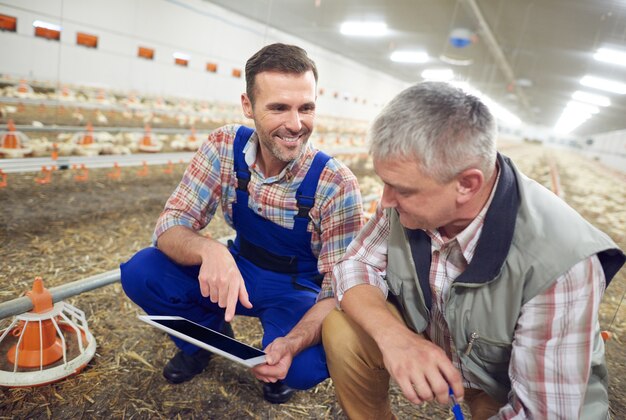 Young farmer taking care of his business