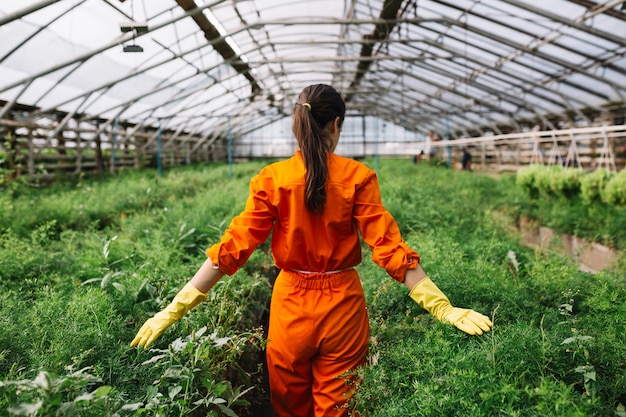 Free photo young female gardener touching fresh plants in greenhouse