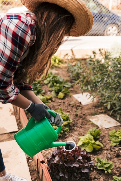 Free photo young female gardener watering the plants in the garden