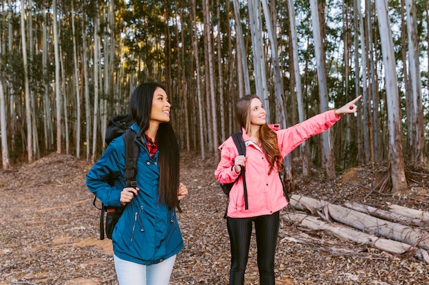 Free Photo young female hiker showing something to her friend in forest