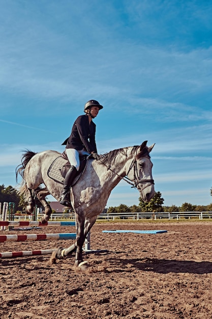 Free Photo young female jockey on dapple gray horse jumping over hurdle in the open arena.