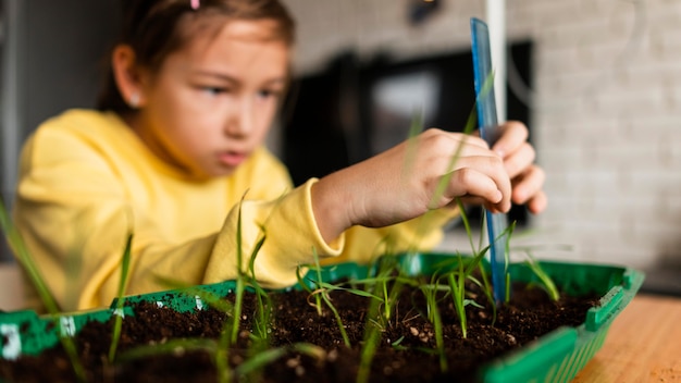 Free photo young girl measuring sprouts growing at home