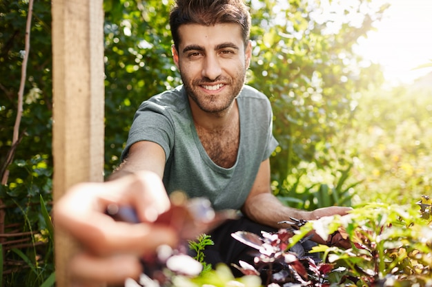 Young good-looking bearded gardener spending day in countryside vegetable garden in summer morning. Attractive hispanic man smiling, holding plant in hand.