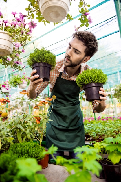 Young handsome cheerful gardener smiling, taking care of flowers