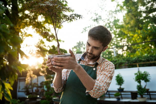 Young handsome cheerful gardener smiling, taking care of plants