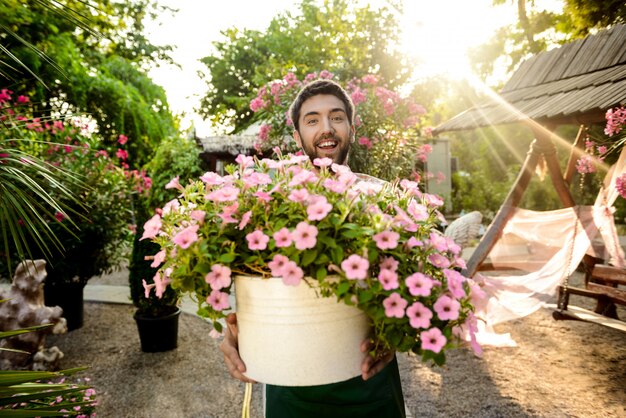 Young handsome gardener smiling, holding big pot with flowers