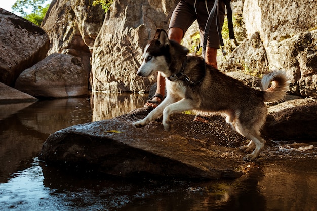 Free Photo young handsome man walking with huskies dog in canyon near water