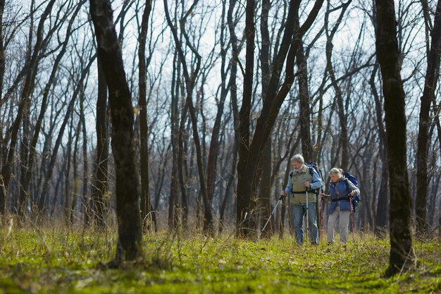 Young at heart. Aged family couple of man and woman in tourist outfit walking at green lawn near by trees in sunny day. Concept of tourism, healthy lifestyle, relaxation and togetherness.