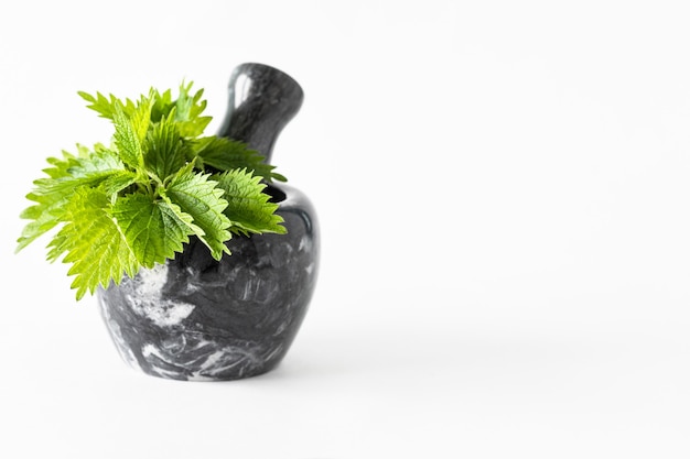 Young leaves of nettle in a marble mortar on a white background. Copy space