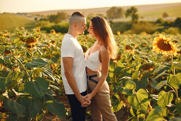 Young loving couple is kissing in a sunflower field. Portrait of couple posing in summer in field.