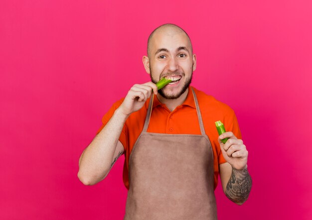 Young male gardener holds and pretends to bite hot pepper 