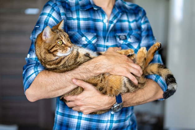 Free photo young male holding a cute bengal tiger cat in his hands