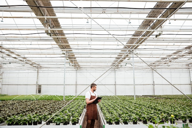 Young man in apron working with plants in greenery