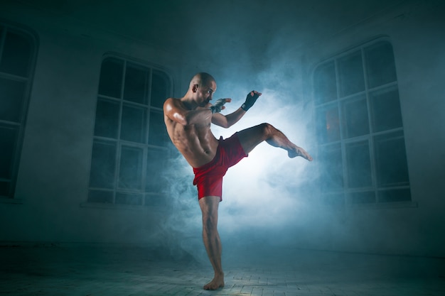 Free photo young man kickboxing in blue smoke