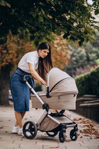 Young mother walking with stoller in park