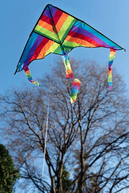 Young people getting their kite up