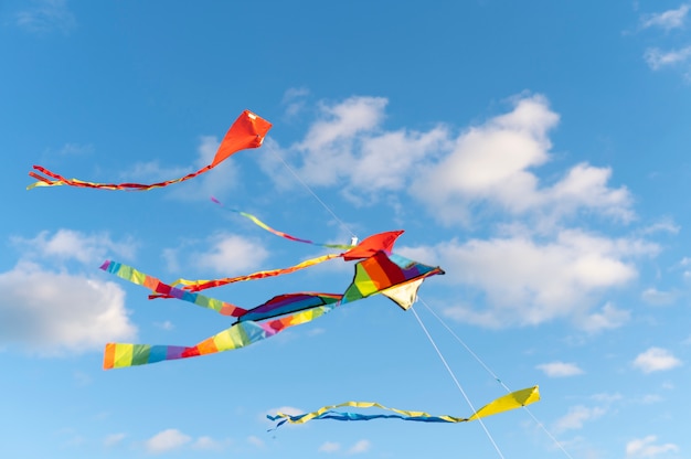 Young people getting their kite up