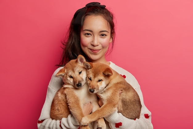 Young woman adores dogs, plays with two little shiba inu puppies, teaches them to perform some actions, has adopted nice animals, going to vet, isolated over pink background.