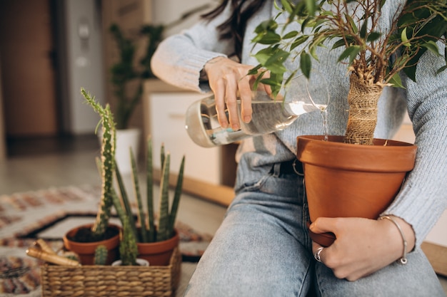 Young woman cultivating plants at home