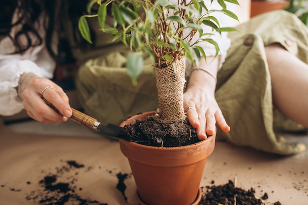 Young woman cultivating plants at home