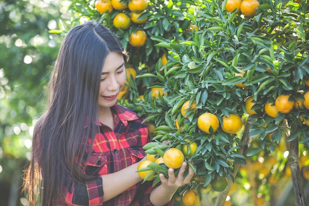 Young woman in the garden harvest orange in the garden.