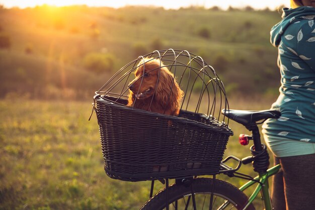 Young woman having fun near countryside park, riding bike, traveling at spring day