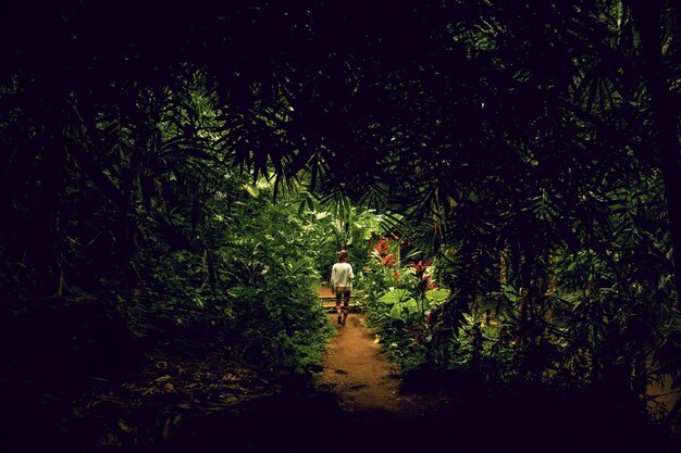 young woman in the jungle in the rock Bali Indonesia